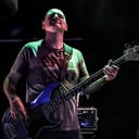 Dave Evans- Pro Bass Player