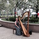 Debbie Beck,  Harpist