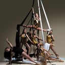 Denver Aerial Dance Collective