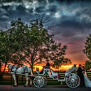 Destiny Horse and Carriage