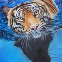 DFW Chalk Artist