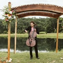 Diringer Cello