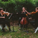 District Strings