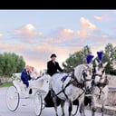 Dream Catchers Carriages