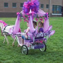 Dreamcatcher Carriage &amp; Party Ponys