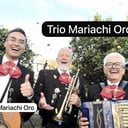 Trio Mariachi Oro