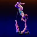 Duo Aerialists