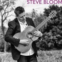 Steve Bloom, Guitar
