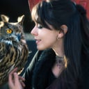 EarthWings Bird Shows