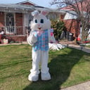 Easter Bunny by Holiday Helpings