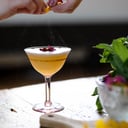 Elixir Mobile Bar