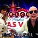 Pitbull Tribute • Elvis Tribute • Ultimate Party Experience