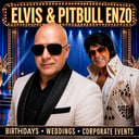 Elvis Tribute Artist &amp; Pitbull Party Show — Enzo
