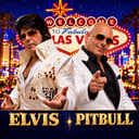 Elvis &amp; Pitbull Tribute — Wedding &amp; Party Starters