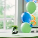 Events by Aneta