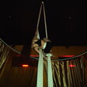 Firebird Moving Arts