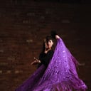 Flamenco del Lago