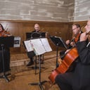 Forte Strings Quartet