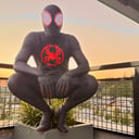 Friendly Neighborhood Spider-Men
