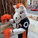 Elvis and The Mascot Messengers