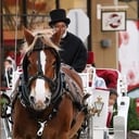 Glass Slipper Carriage Tours