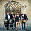 Grupo Neblina