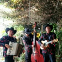 Grupo Versatil Y Norteno