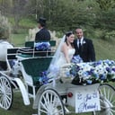 Happy Trails Horse and Carriage