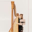 Harp by Emily Anna