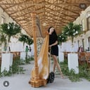 Beste Toparlak, Harpist