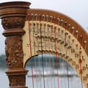 Harp to Harp