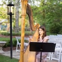 Harpist for all Occasions