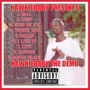 HawkieBaby