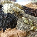 Hemp Kettle Tea Company