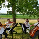 Heritage Hill String Quartet