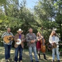HillBilly Fever