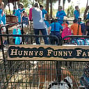 Hunny's Funny Farm