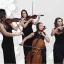 Sin City Strings by Impulse Strings