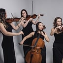 Impulse Strings