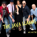 Java Llamas