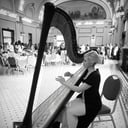 Julie ni Hewkin, Harpist and Vocalist