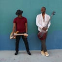 Kingston Tree Duo