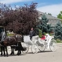 Kiowa Creek Coaches, LLC