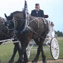 Kiowa Creek Coaches, LLC
