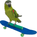 Animal Party Entertainment with Kiwi, The Skateboarding Parrot