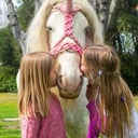 Lady Serenity the Gypsy Unicorn