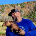 Leaping lizards Adventure of NH