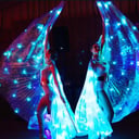 LED Wings Show