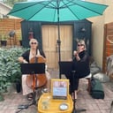 The Mesa Strings