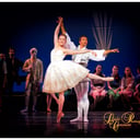 Linda Constant Photography